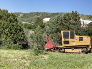 douglas-county-fire-mitigation-cost-sharing-program
