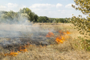 one-hour-evacuation-list-wildfires