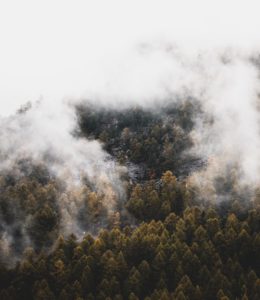 wildfire-policy-history