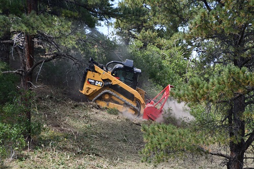 Fence line cleared of brush and volunteer growth