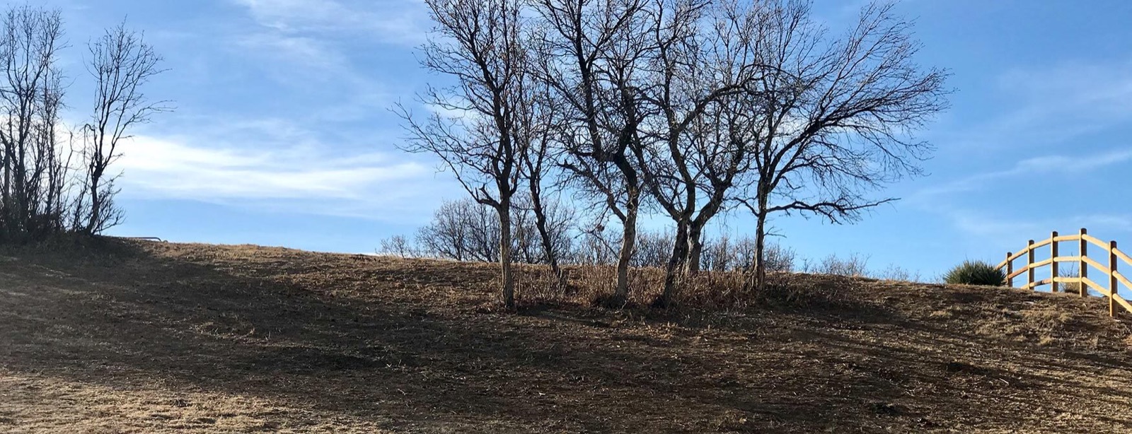 Wildfire mitigation work reducing fuel on a Colorado Front Range property
