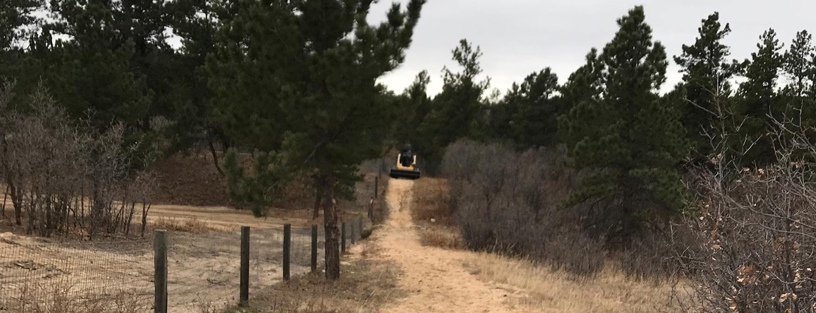 Completed brush clearing project on a Colorado property
