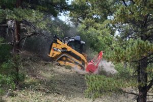 Brush Clearing Services in Sedalia