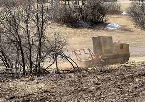 Wildfire mitigaition with Scrub Oak Removal