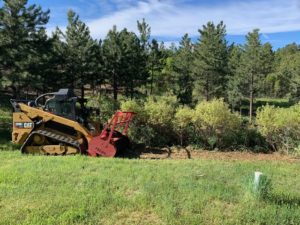 scrub oak removal Castle Rock