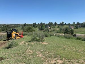 scrub oak removal Colorado Springs