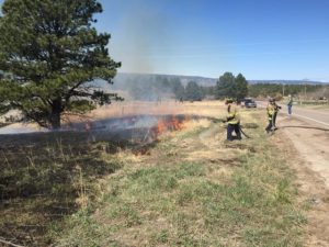 fire-mitigation-castle-rock