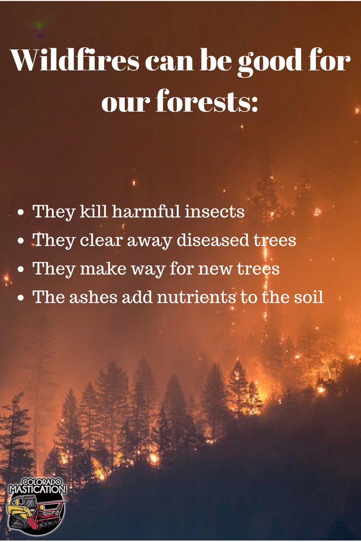 The benefits of Wildfires