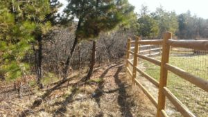 fence-line-clearing