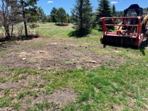 scrub-oak-removal-el-paso-co