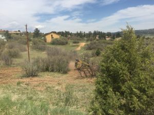 scrub-oak-removal-franktown