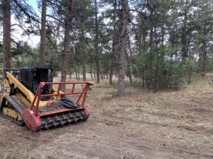 fire-mitigation-fremont-county