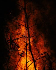 wildfires-effect-soil