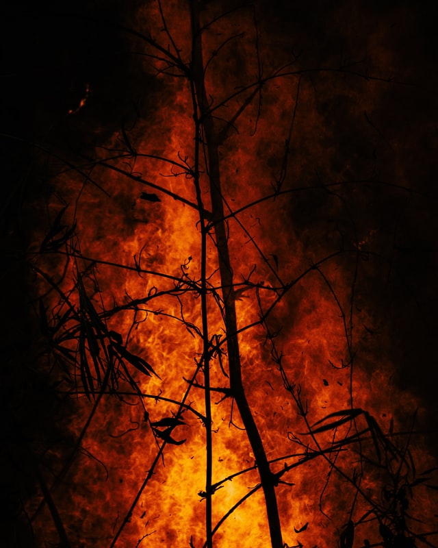 how-wildfires-effect-soil