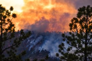 wind-during-wildfires