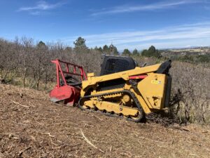 fire-mitigation-cripple-creek