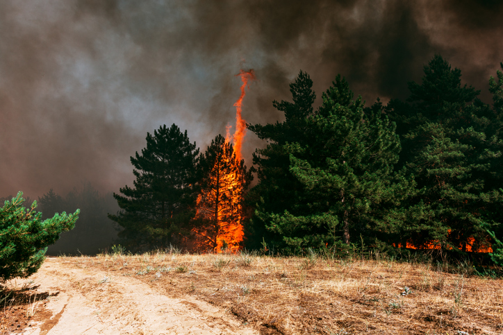 Communication Plan In Case of Wildfire