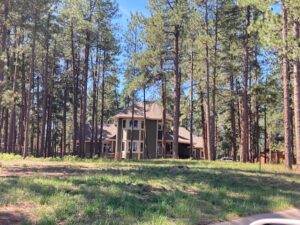 insurance-fire-mitigation