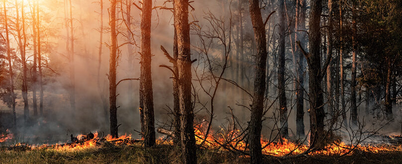 evacuation-list-wildfire-colorado