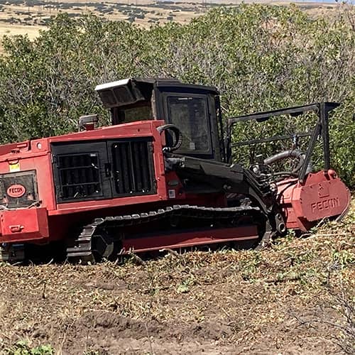 Heavy Equipment performing Fire Mitigation in Colorado