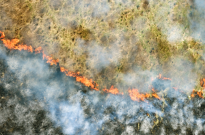 caught-in-car-during-wildfire