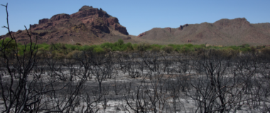 erosion-control-after-wildfire