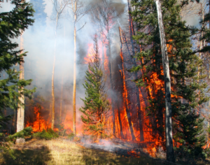 wildfire-containment-meaning